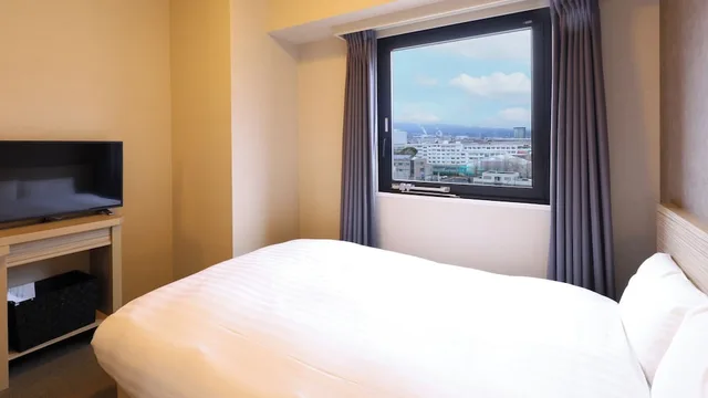 غرفة مفردة للمدخنين، Dormy Inn Mishima 8/19