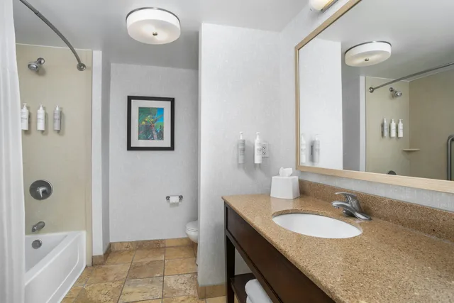 غرفة بسرير كينج لذوي الإعاقة، Hampton Inn New Smyrna Beach 5/8