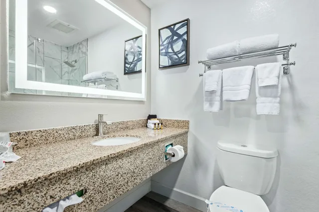 غرفة قياسية بسريرين كينج بإطلالة على المتنزه، Fountain Park Hotel, BW Signature Collection 4/8