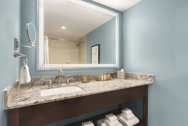 جناح بسرير كينج بشرفة لذوي الإعاقة، Doubletree By Hilton Tampa Rocky Point Waterfront 6/7