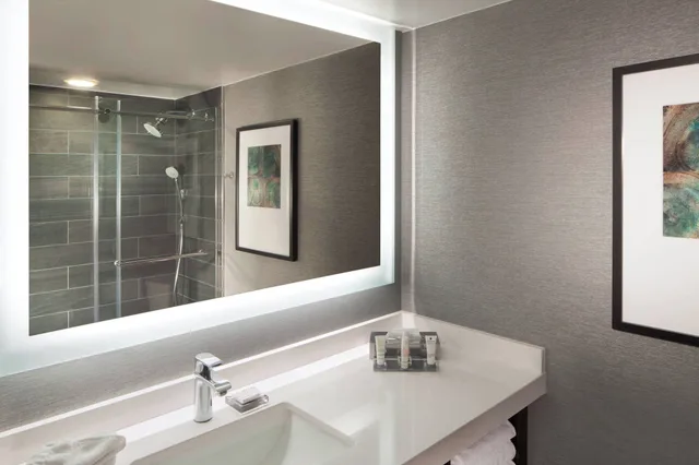 Pure, King Bed، Omaha Marriott 4/4