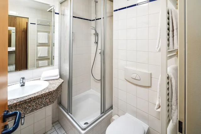 Room, King Bed, Renaire Building، AHORN Panorama Hotel Oberhof 3/3