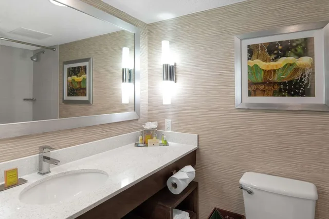 جناح ديلوكس بسرير كينج، Doubletree By Hilton Hotel Jacksonville Airport 4/4