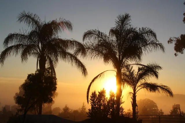 Misty Morn Cottages، Krugersdorp 49/58
