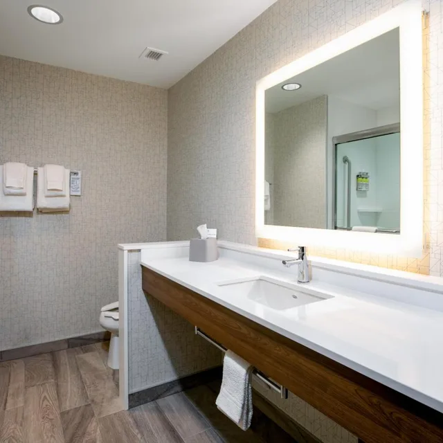 غرفة ديلوكس بسرير كينج، Holiday Inn Express Lethbridge Southeast 3/7