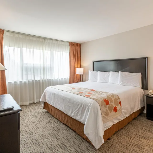 جناح بسرير كينج لذوي الإعاقة، Craigshire Suites - Arlington 1/6