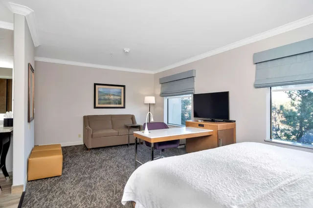استوديو بسرير كينج مع أريكة لذوي الإعاقة، Hampton Inn Suites Fort Worth Fossil Creek 2/7