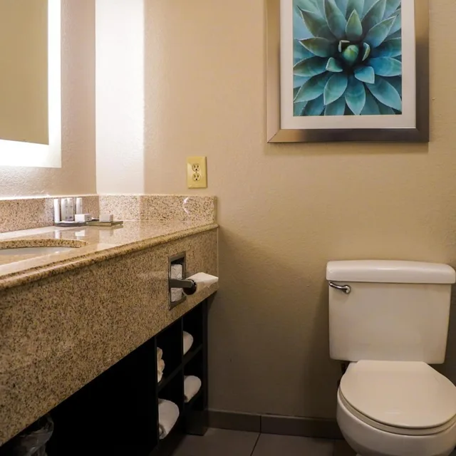 غرفة تنفيذية بسرير كينج، La Quinta Inn and Suites Phoenix I-10 West 6/8