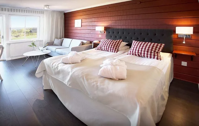 Junior, Studio, King Bed, Sofa, Tallbergsgarden 1/1