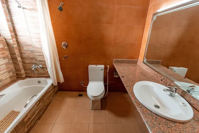 Super, Deluxe, Double Bed، Hotel Manang 5/6