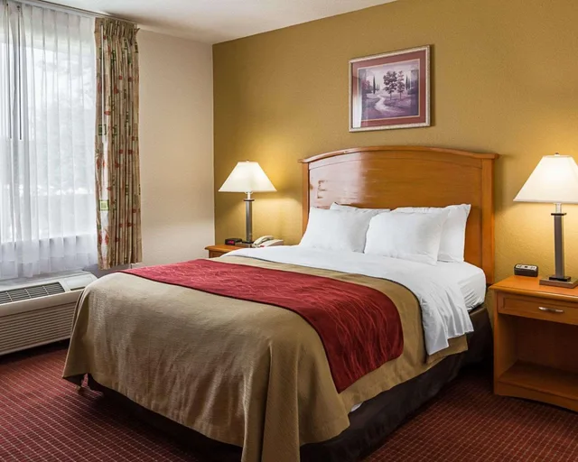 Efficiency, Suite, Queen Bed، Comfort Inn & Suites Chesapeake - Portsmouth 3/4