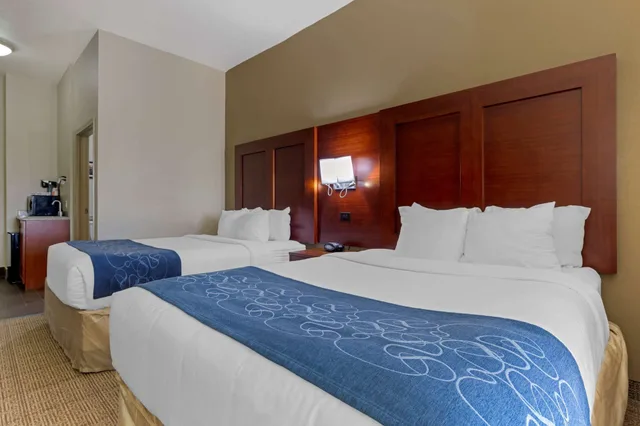 جناح بسريرين كوين مع أريكة، Comfort Suites Gainesville, TX 1/4