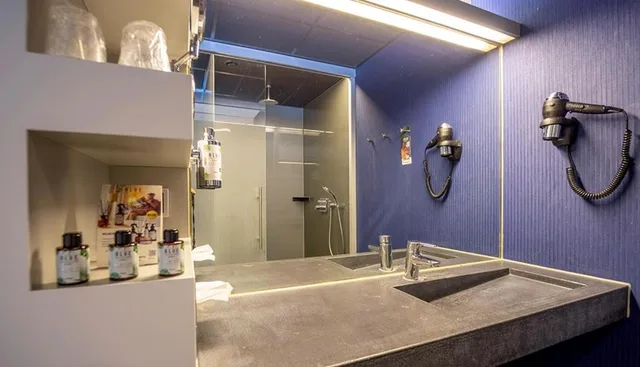 غرفة ديلوكس بسرير مزدوج، Fletcher Wellness Hotel Sittard 9/9