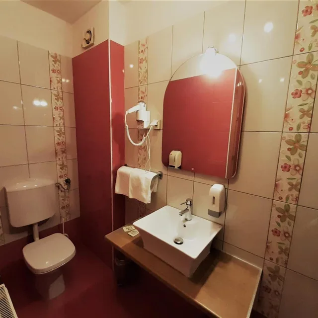 Room, Twin Beds, Vodisek 7/8