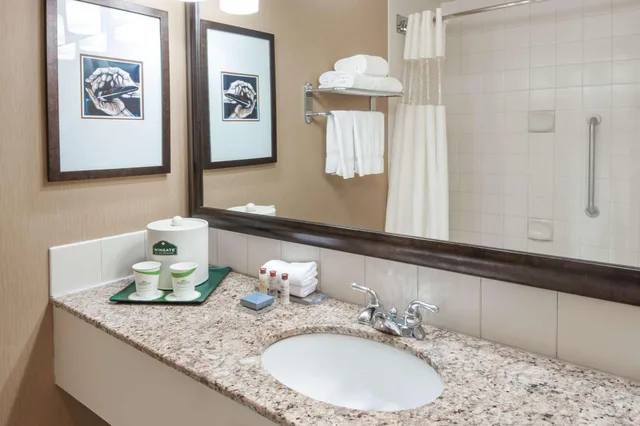 جناح جونيور بسرير كينج مع أريكة، Wingate by Wyndham Edmonton West 3/3