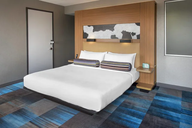 Aloft, King Bed، Aloft Nashville-Cool Springs 2/9