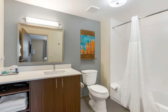 جناح بسرير كينج لذوي الإعاقة، MainStay Suites North Central York 4/4