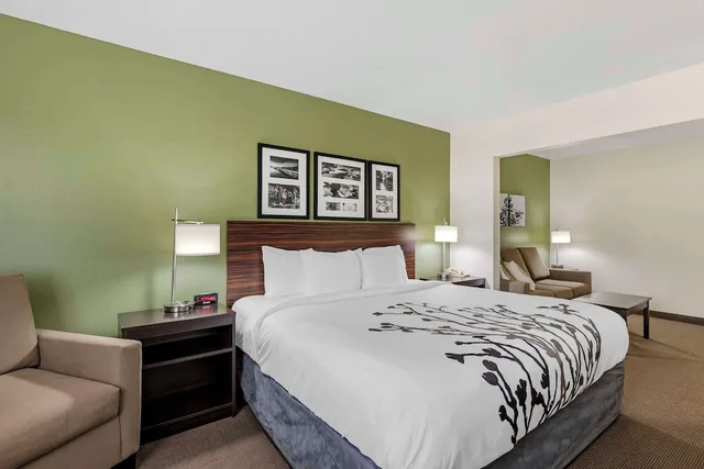 غرفة بسرير كينج لذوي الإعاقة، Sleep Inn & Suites Charles City 3/7
