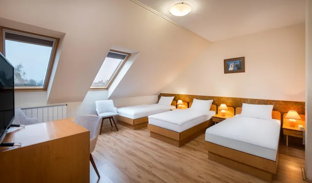 غرفة قياسية بسرير فردي، Platan Hotel 5/7