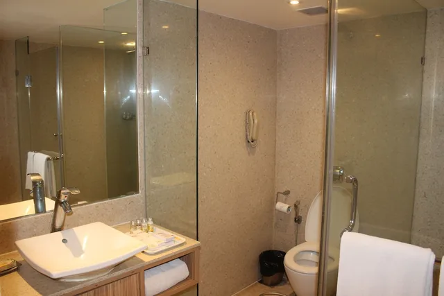 غرفة بريميوم مفردة، Pride Plaza Hotel Ahmedabad 7/7