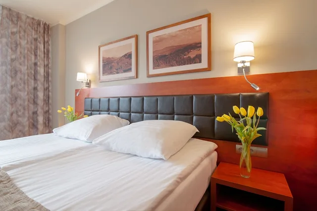 Spa Wellness Hotel Diament Ustron، Ustron 23/50