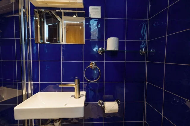 Oasis, Deluxe, Double Bed, Garden View, Central Hotel 7/8