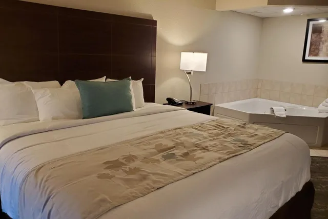 Deluxe, Queen Bed, Cobblestone Suites Oshkosh 1/4