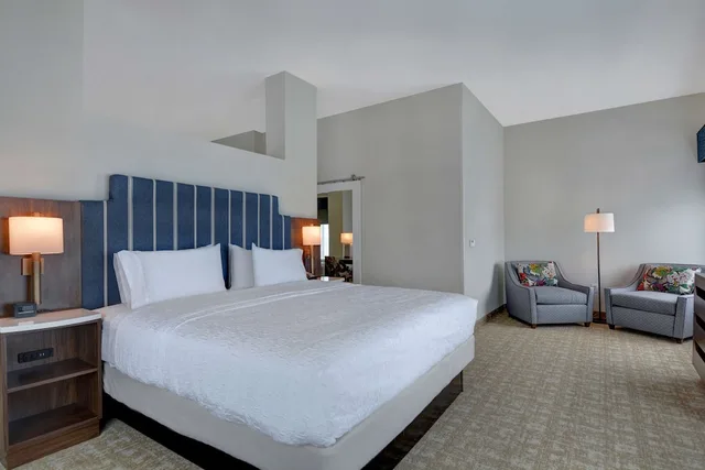 Studio, Suite, King Bed, Sofa, Corner, Hampton Inn & Suites Nashville Downtown Capitol View, Tn 1/2