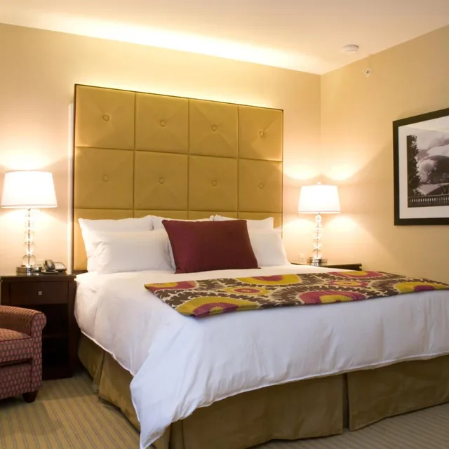 جناح كلوب، Millennium Hotel Knickerbocker Chicago 1/4