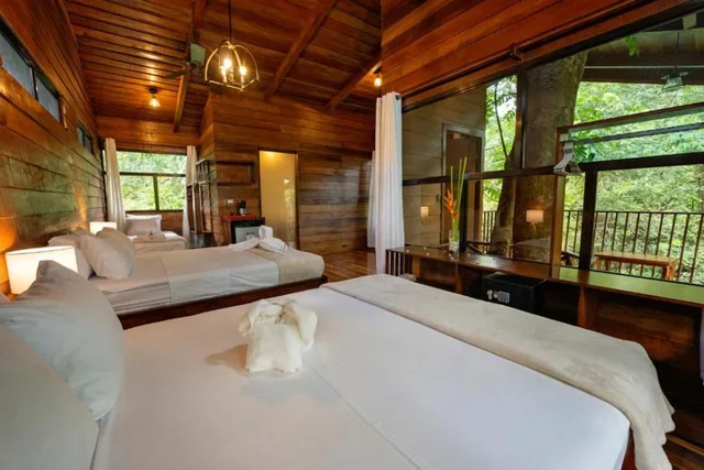 Tree House, Family, 1 Single and 2 Queen Beds, Mountain View، Maquenque Eco-Lodge 2/7