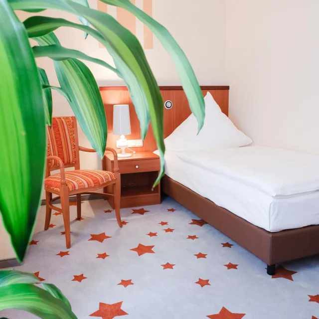 غرفة مفردة، Stadthotel Stern 2/6