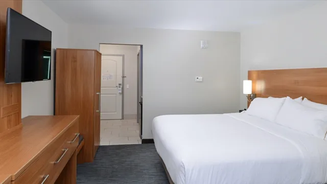 جناح بغرفة نوم واحدة، Holiday Inn Express & Suites Lexington - Hamburg Area 2/2