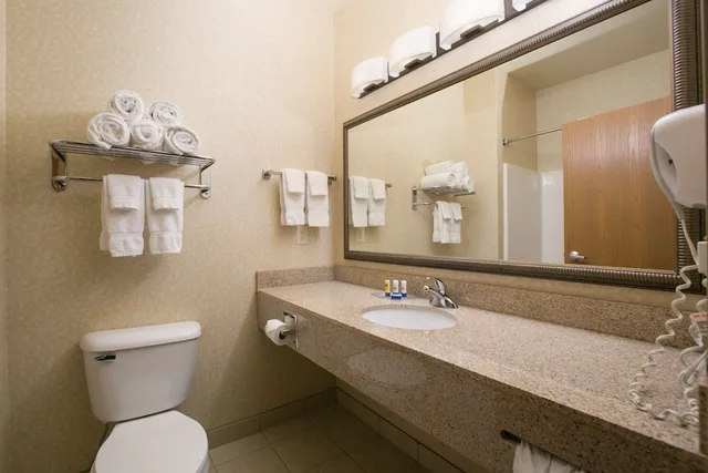 Suite, King Bed, Sofa, Jetted Tub, Best Western Plus Blaine At The National Sports Center 4/7