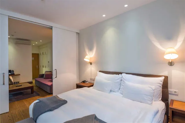 غرفة ديلوكس بسرير كينج مع أريكة، Misafir Suites 8 Istanbul. 4/10