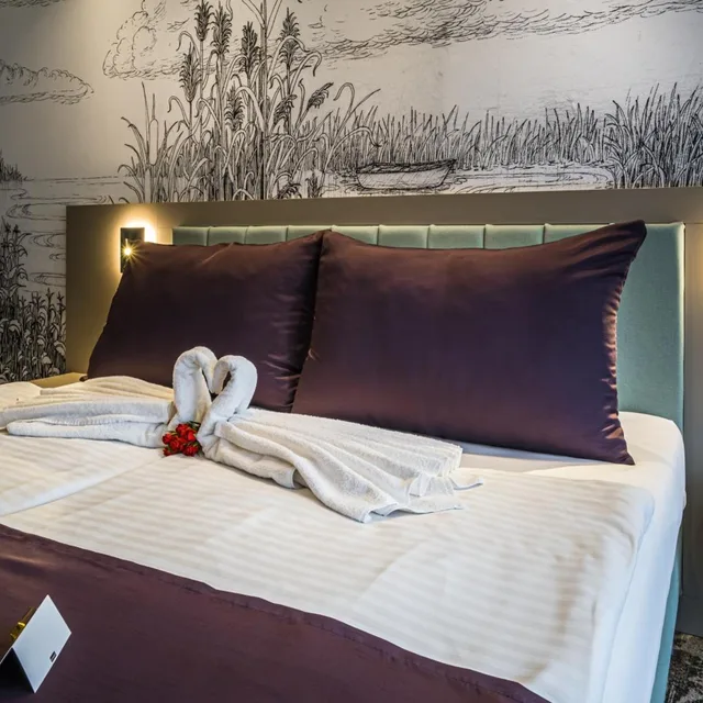 غرفة ديلوكس بسرير مزدوج أو سريرين منفصلين بشرفة، Silver Resort Balatonfüred 3/6
