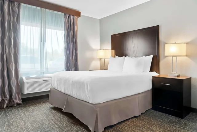 غرفة قياسية بسرير كوين لذوي الإعاقة، Best Western Plus Flint Airport Inn & Suites 1/5