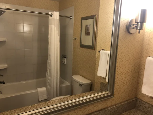 غرفة قياسية بسرير كينج مع أريكة، Holiday Inn Express Hotel And Suites Lansing Dimondale 5/8
