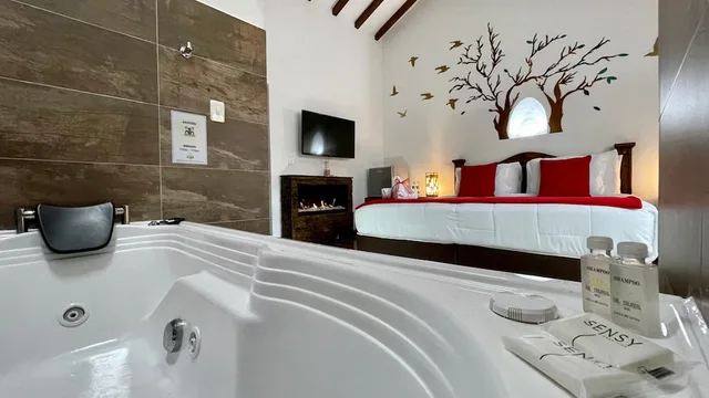 جناح استوديو ديلوكس بسرير كينج، Hotel VDL Colonial by PRIMA Collection 4/5