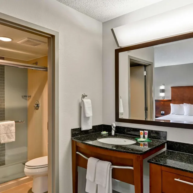 غرفة بسرير كينج مع أريكة، Hyatt Place Birmingham/Hoover 4/4