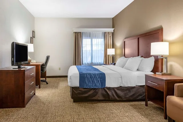 Standard, King Bed, Comfort Inn Downtown University Area 2/5