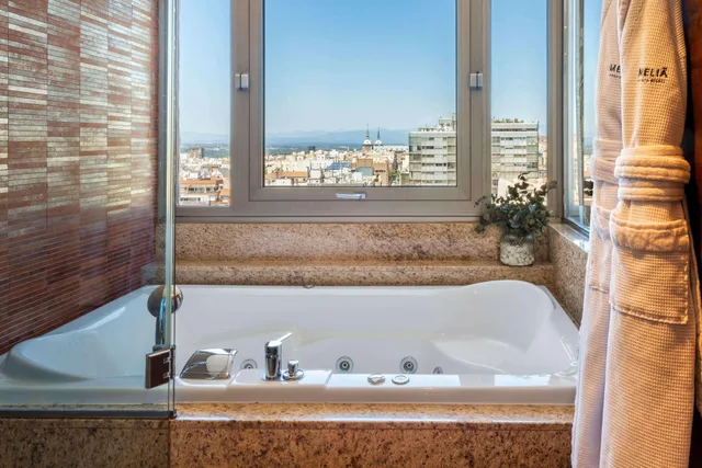 Grand, the Level, Premium, with View، Melia Madrid Princesa Hotel 8/9