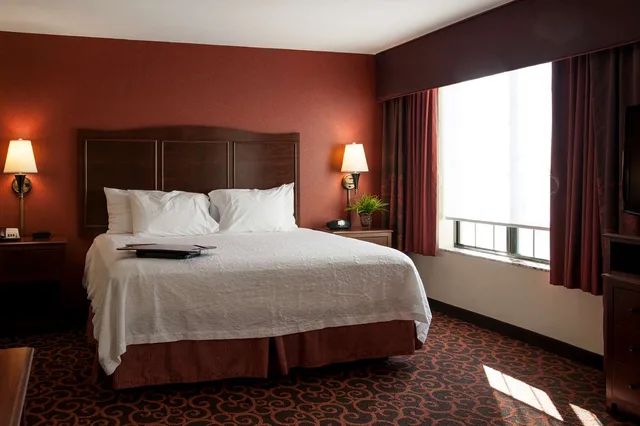 جناح استوديو بسرير كينج مع أريكة، Hampton Inn And Suites Aberdeen 3/4