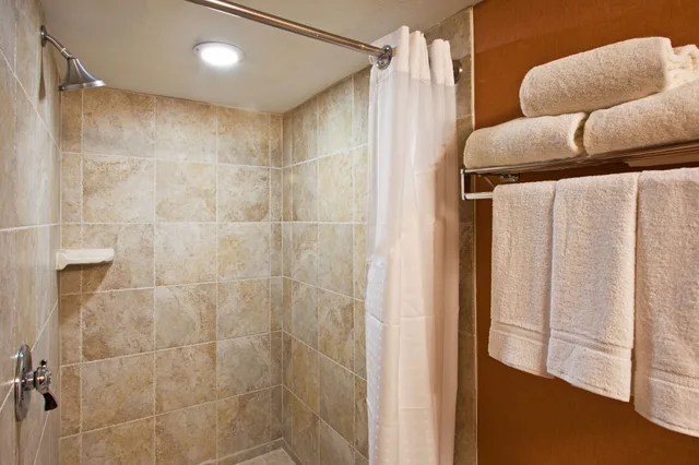 Standard, King Bed, Pool Access, Holiday Inn Express Clearwater East Icot Center 9/9