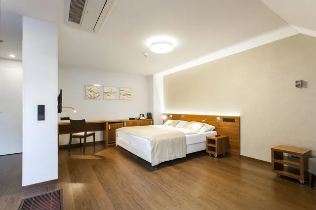 غرفة ديلوكس بسرير كوين مع أريكة، CAROL HOTEL 1/5