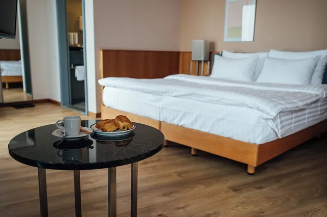 شقة تنفيذية بسرير كينج بشرفة مع أريكة، PeakTure Hotel Bucharest 1/1