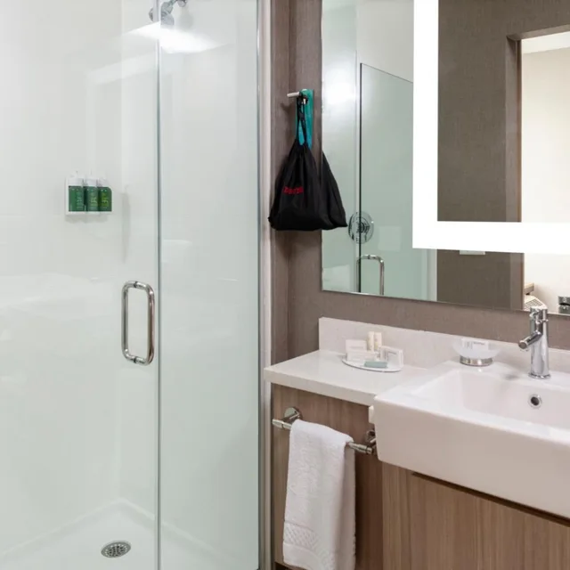 جناح بسرير كينج مع سرير سحّاب إضافي مع أريكة بحوض استحمام لذوي الإعاقة، SpringHill Suites by Marriott Charlotte Huntersville 1/1