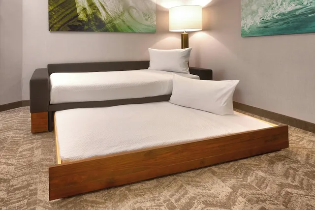 جناح بسرير كينج مع أريكة لذوي الإعاقة، SPRINGHILL SUITES IDAHO FALLS 2/9