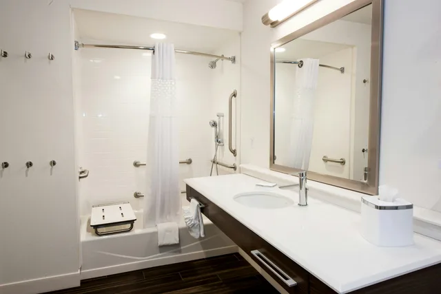 غرفة بسرير كينج مع أريكة لذوي الإعاقة، Hampton Inn Albany-Western Ave/University Area 3/4