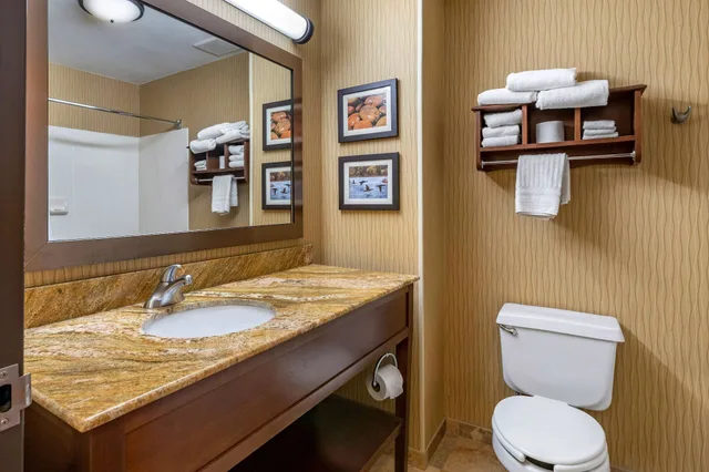 غرفة قياسية بسرير كينج، Comfort Inn Wings Stadium 5/5