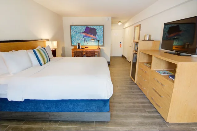 Room, Queen Bed, No Balcony, Accessible، Guy Harvey Resort St. Augustine Beach 1/5